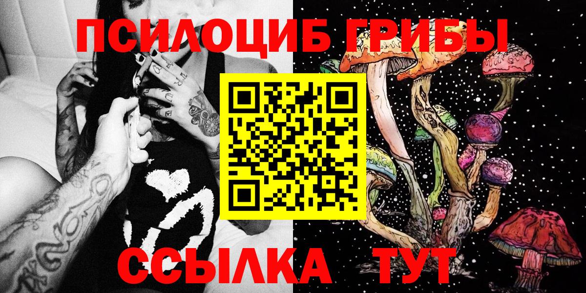 Добрянка  Псилоцибиновые грибы GOLDEN TEACHER  Вход с VPN 